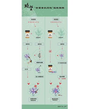 屠呦呦團(tuán)隊(duì)放“大招”：“青蒿素抗藥性”等研究獲新突破