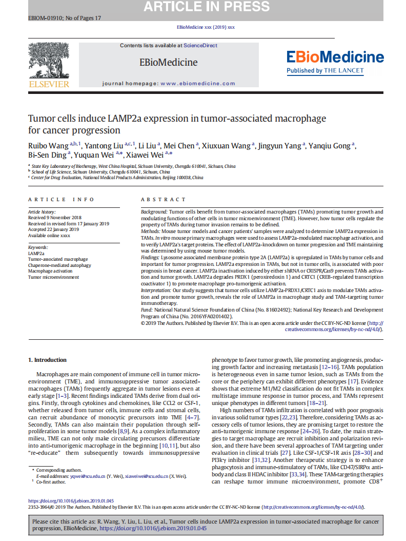 Tumor cells induce LAMP2a expression in tumor-associated macrophage for cancer progression